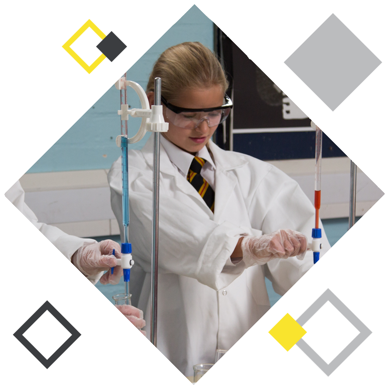 Opportunities available to our students include:-