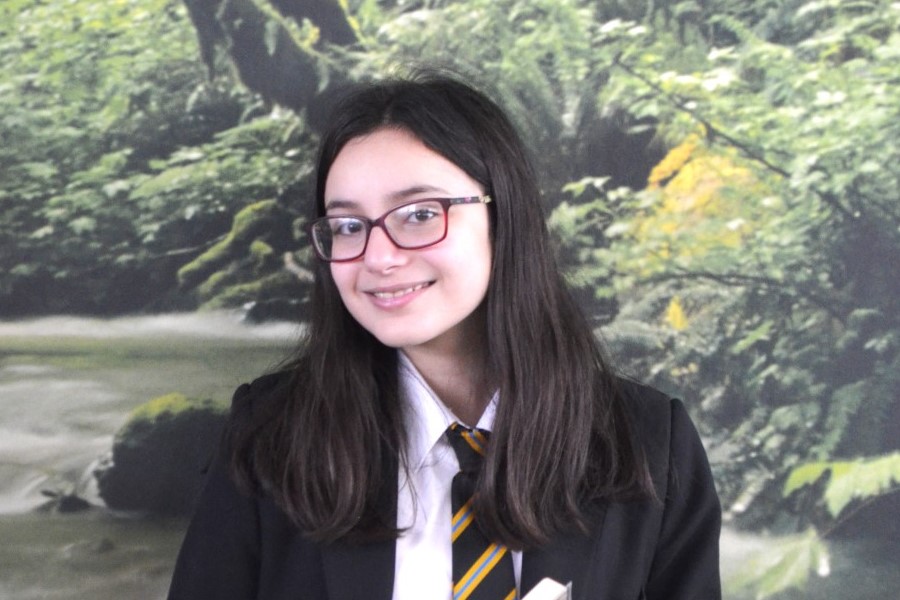 Fairfax Academy Sinceritas Laboris. Part of the Fairfax MultiAcademy